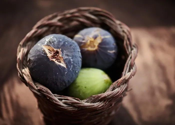 Cascioni Eco Retreat Hotel Arzachena