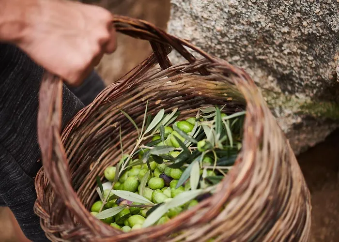 Cascioni Eco Retreat 5*