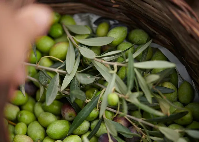 Cascioni Eco Retreat 5* Arzachena